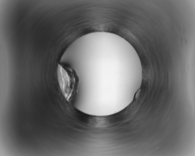 X0000088040095200706081618