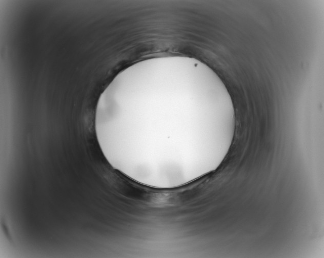 X0000088040096200706081618