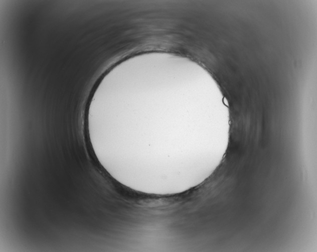 X0000088040100200706081617