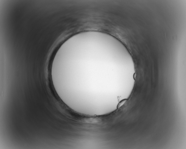 X0000088040102200706081617