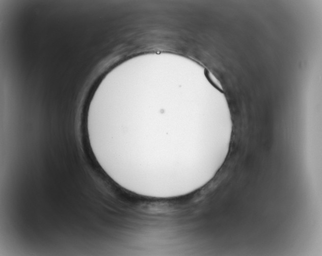 X0000088040104200706081617