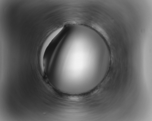 X0000088040105200706081617