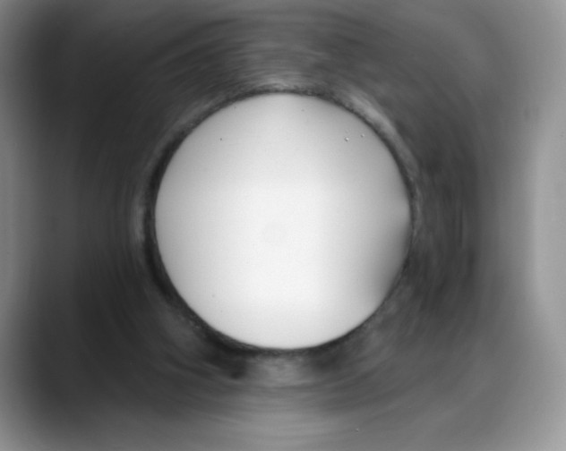 X0000088040106200706081617