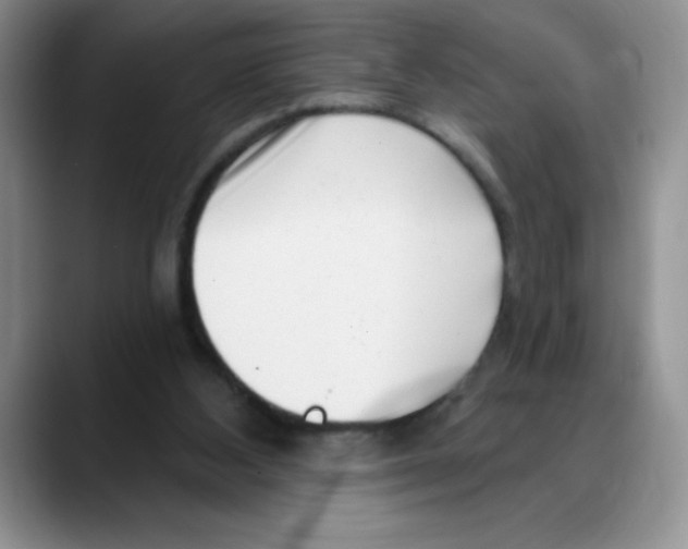 X0000088040108200706081617