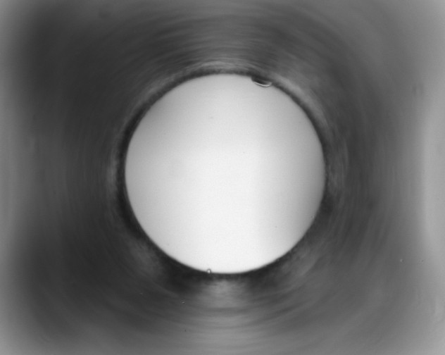 X0000088040111200706081617