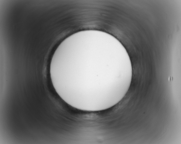 X0000088040112200706081617