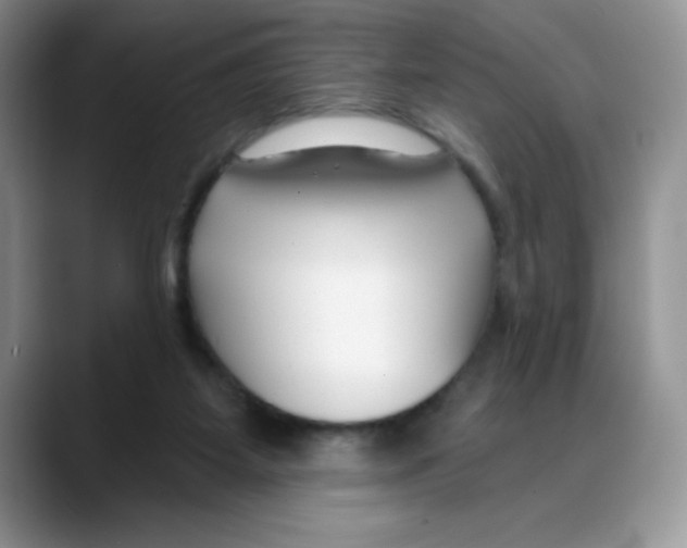 X0000088040115200706081617