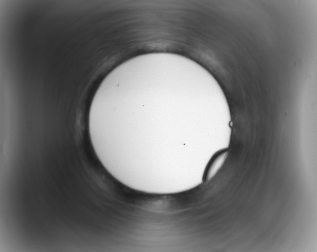 X0000088040116200706081617