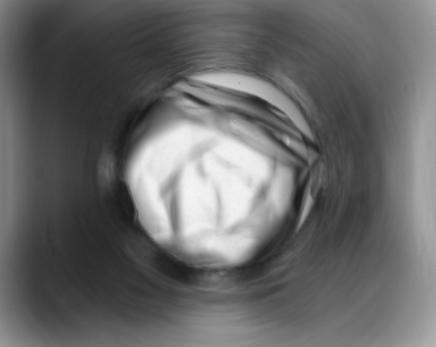 X0000088040117200706081617