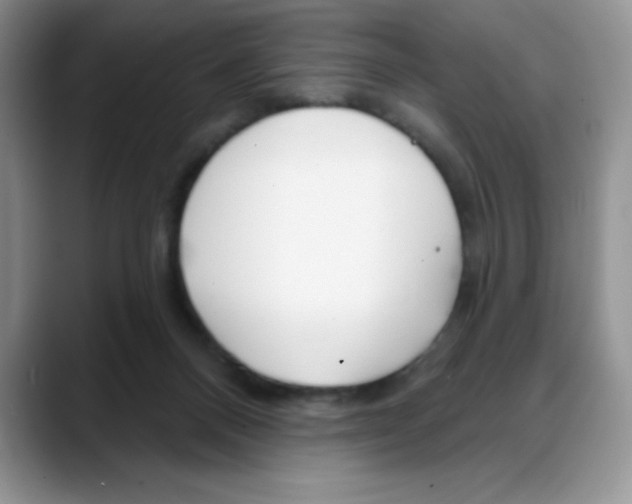 X0000088040120200706081617