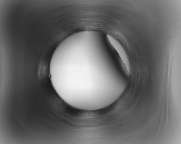 X0000088040123200706081617