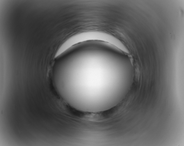 X0000088040125200706081617