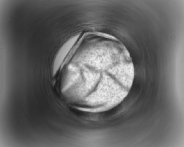 X0000088040127200706081617