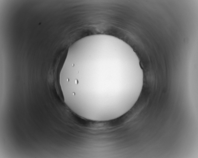 X0000088040129200706081617