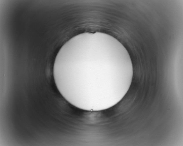 X0000088040135200706081617