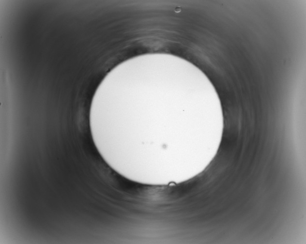 X0000088040136200706081617