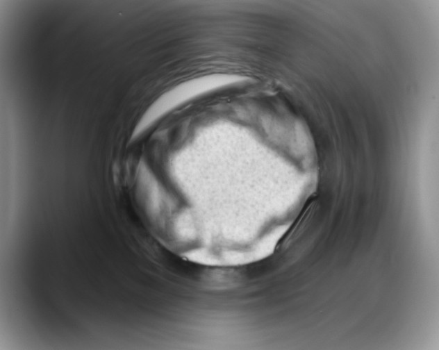 X0000088040137200706081617