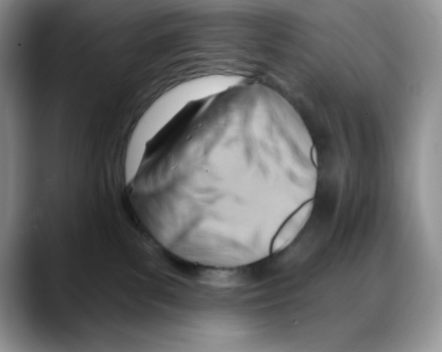 X0000088040139200706081617