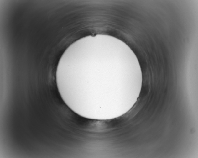 X0000088040140200706081617