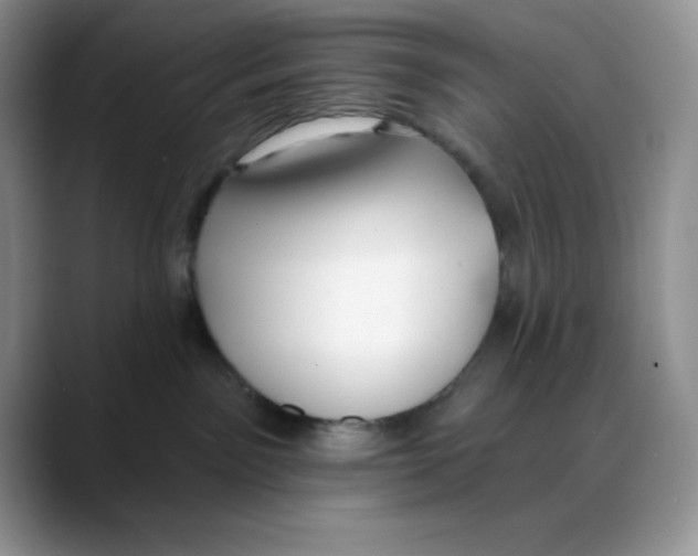 X0000088040141200706081617