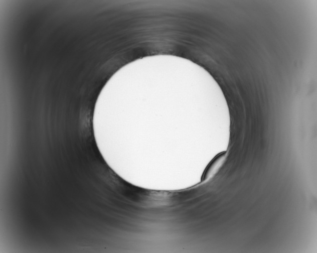 X0000088040144200706081617