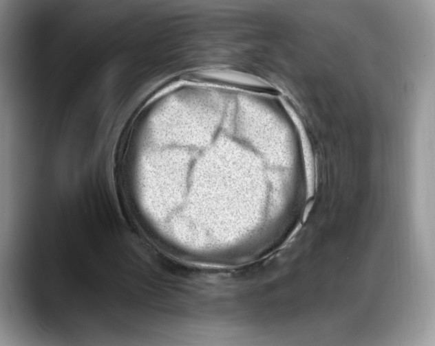 X0000088040147200706081616