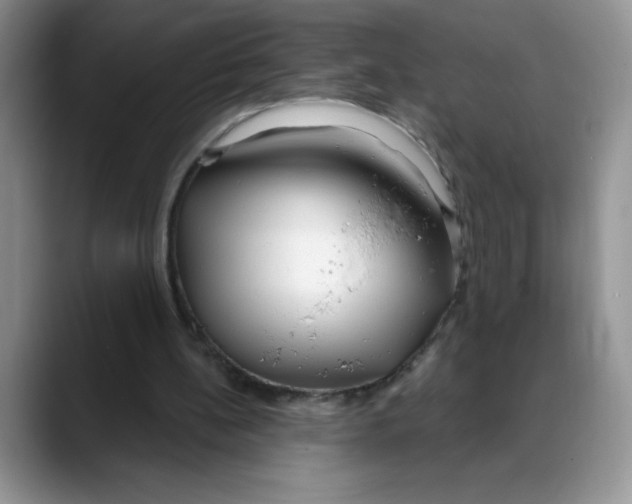 X0000088040148200706081616