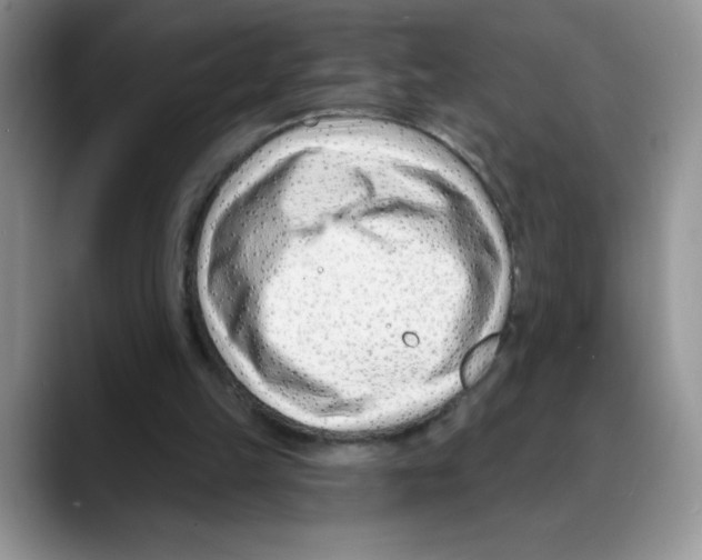 X0000088040149200706081616