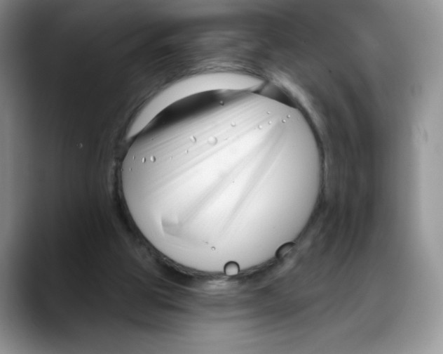 X0000088040153200706081616