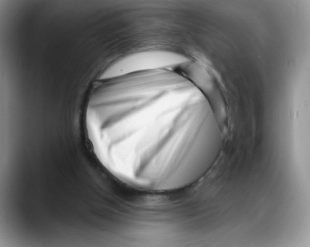 X0000088040154200706081616