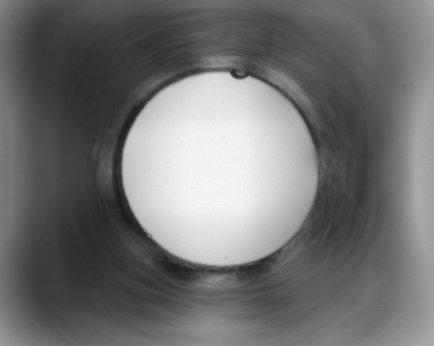 X0000088040155200706081616