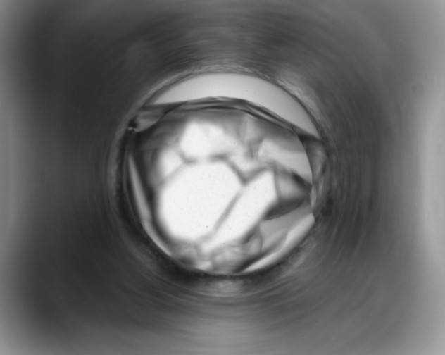 X0000088040156200706081616