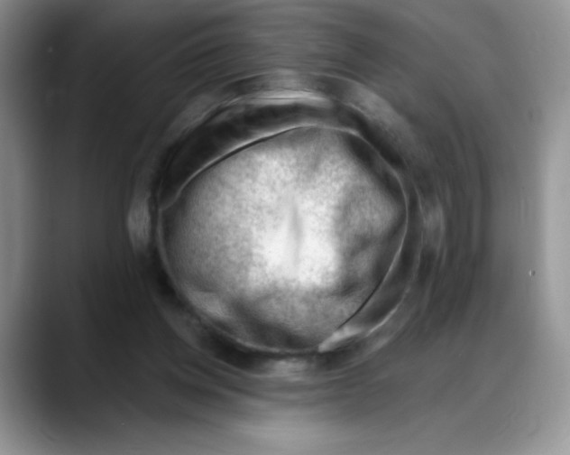 X0000088040158200706081616