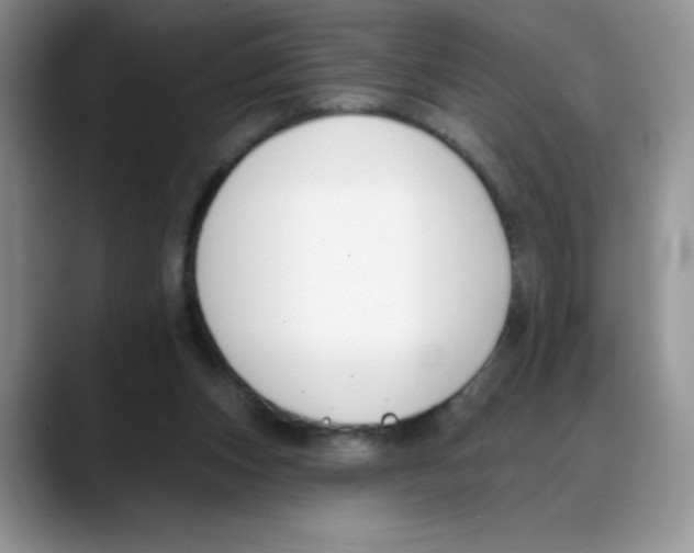 X0000088040159200706081616