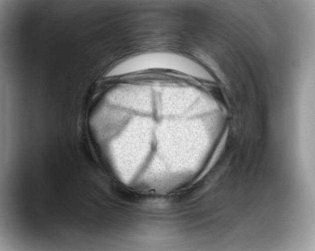 X0000088040161200706081616