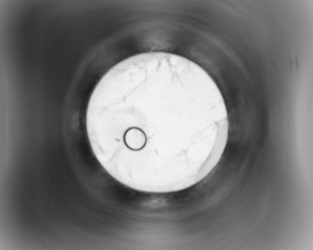 X0000088040162200706081616