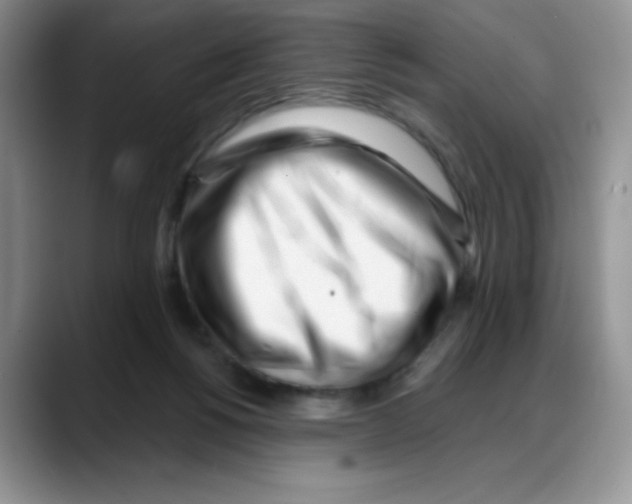 X0000088040168200706081616