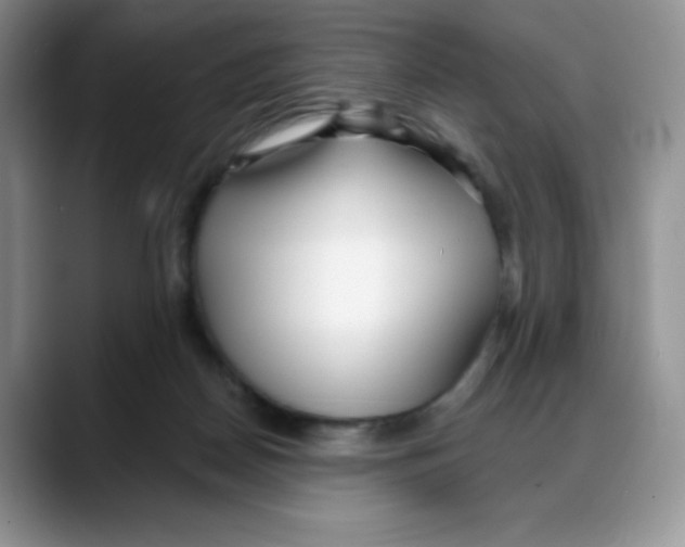 X0000088040170200706081616