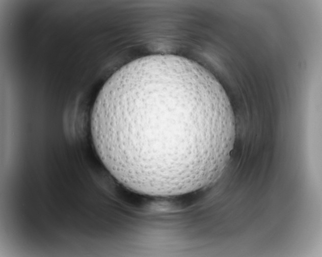 X0000088040171200706081616