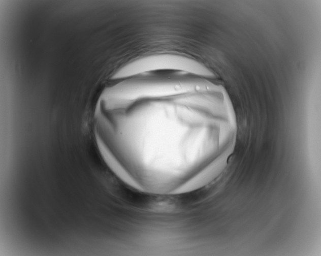 X0000088040175200706081616