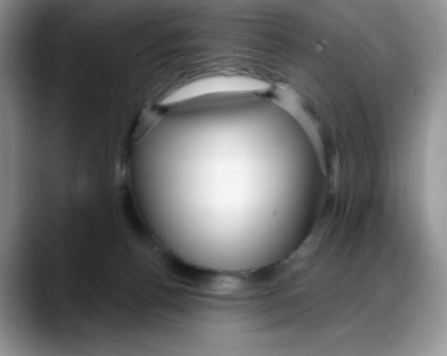 X0000088040176200706081616