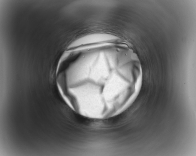 X0000088040177200706081616