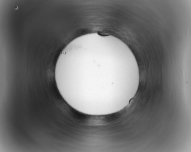 X0000088040179200706081616