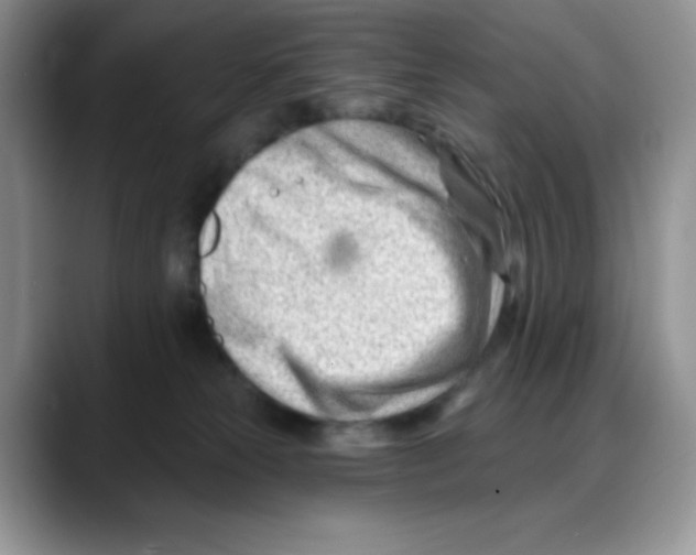 X0000088040181200706081616