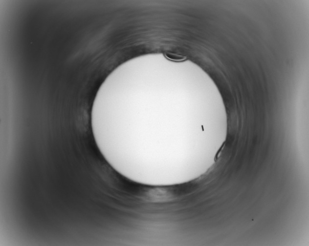 X0000088040183200706081616