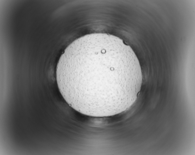 X0000088040187200706081617