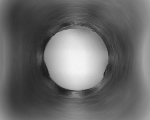 X0000088040188200706081617