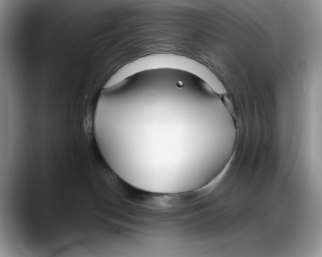 X0000088040190200706081617