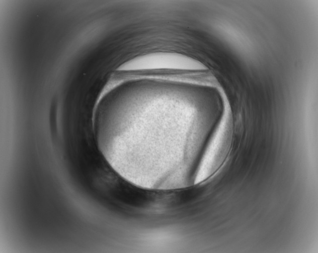 X0000088040191200706081617