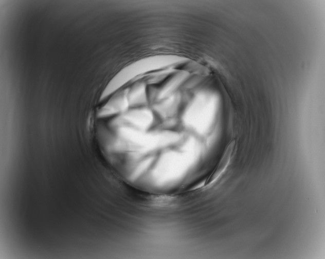 X0000088040192200706081617